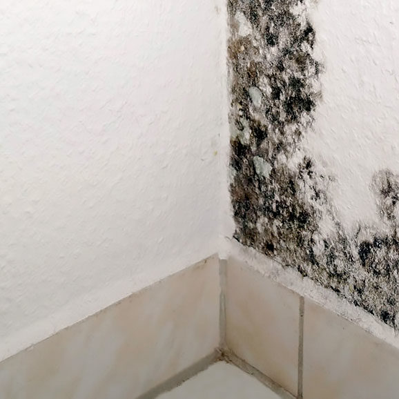 Humidité des murs pleins
