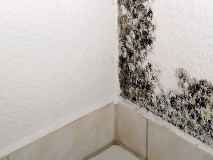 Humidité des murs pleins