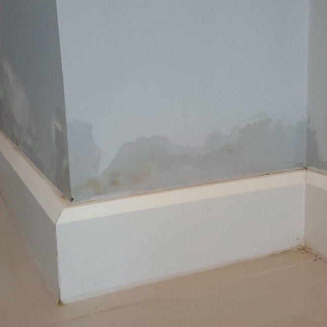 Humidité des murs pleins