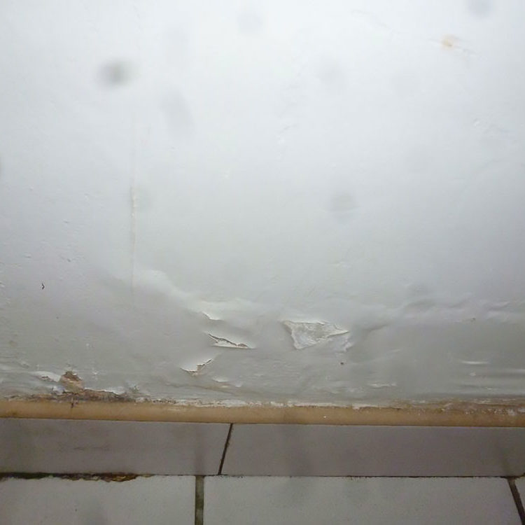 Humidité des murs pleins