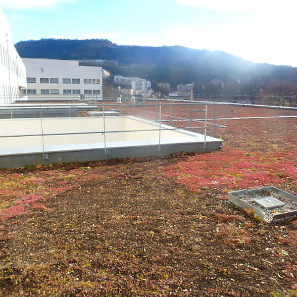 Contrôle d’étanchéité en toiture-terrasse végétalisée