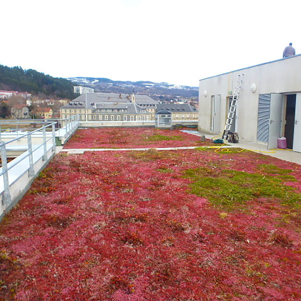 Contrôle d’étanchéité en toiture-terrasse végétalisée