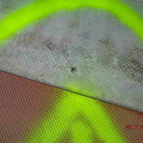 Détection de fuites en toiture-terrasse PVC - Perforation de la membrane