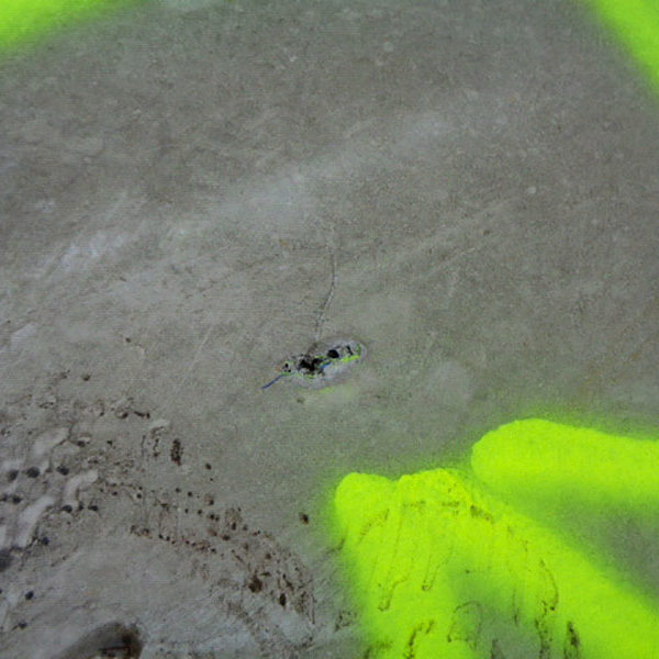 Détection de fuites en toiture-terrasse PVC - Perforation de la membrane